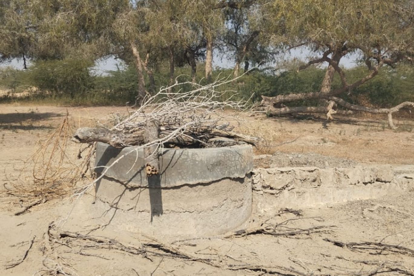 HALEJI URDU BLOG IMGS (2)