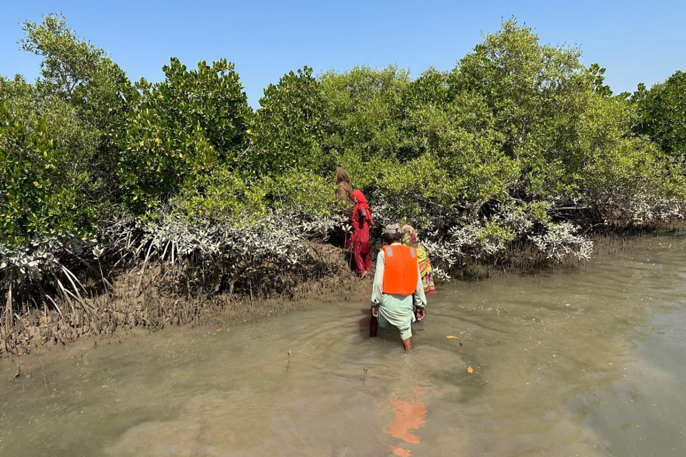 HALEJI URDU BLOG IMGS (2)