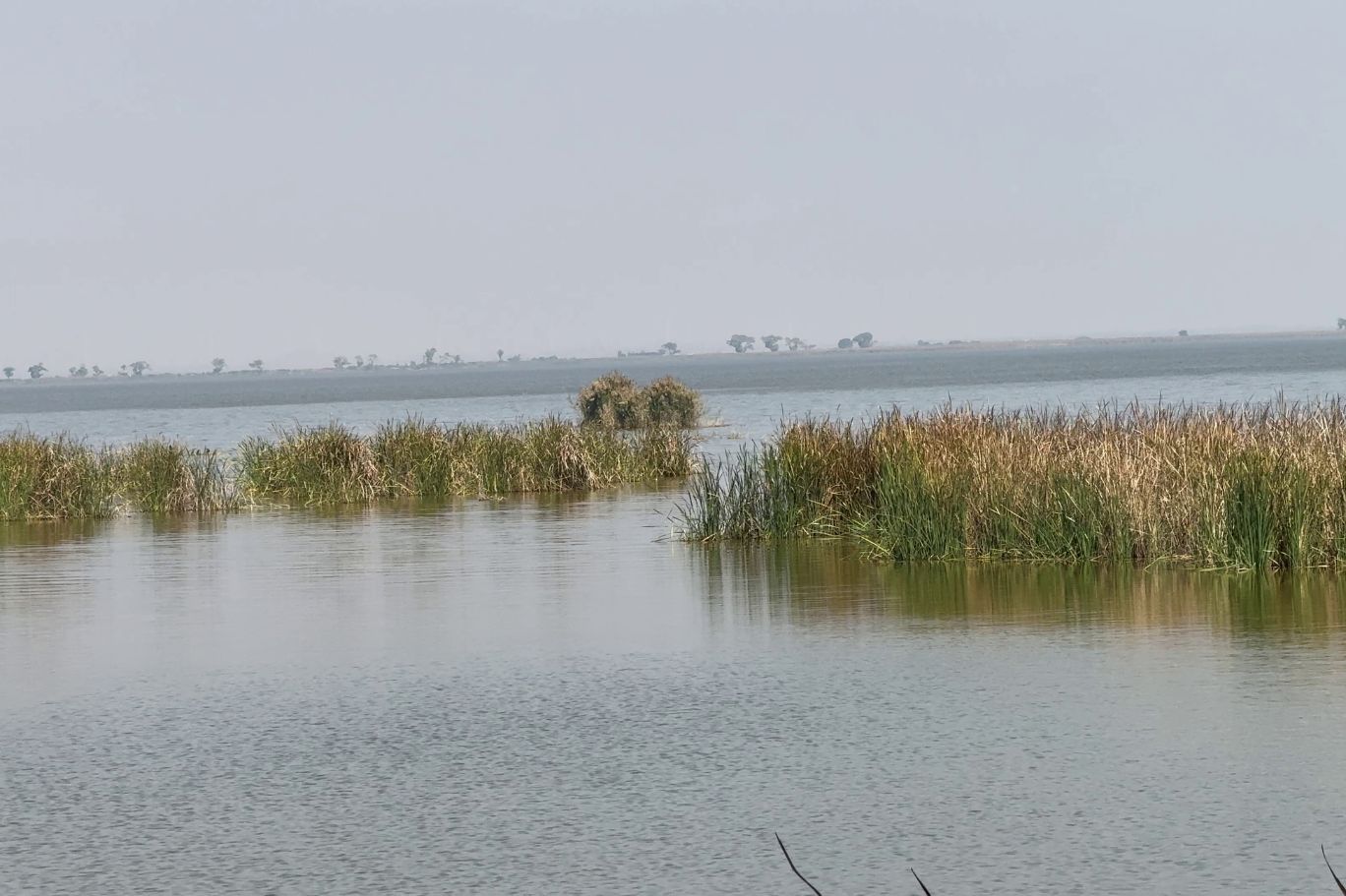 HALEJI URDU BLOG IMGS (6)