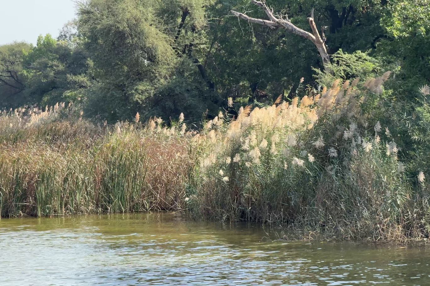 HALEJI URDU BLOG IMGS (8)